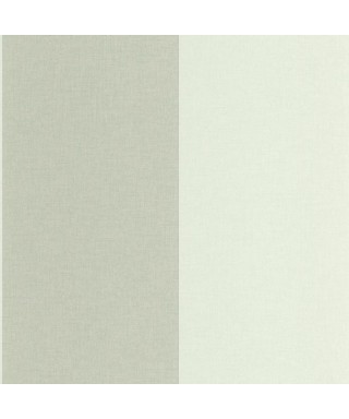 XXL LINES VERT AMANDE