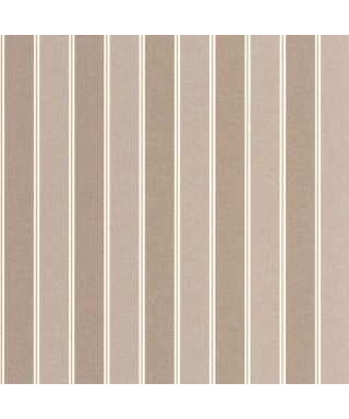 CLASSIC LINES TAUPE OR