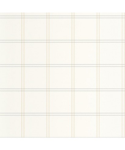 FINE LINES JAUNE BLEU