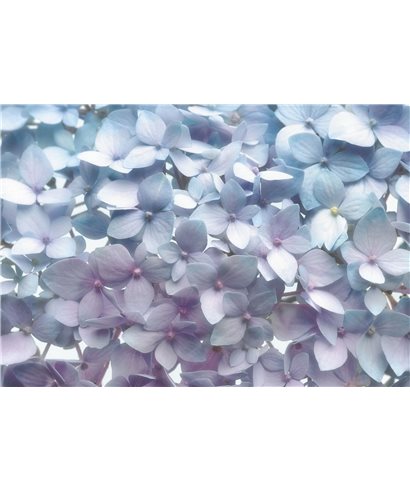 POSTER FOTOMURALE LIGHT BLUE