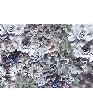 POSTER FOTOMURALE SHADES