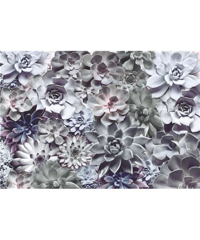 POSTER FOTOMURALE SHADES