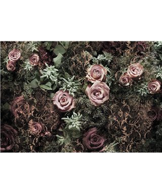 POSTER FOTOMURALE VELVET