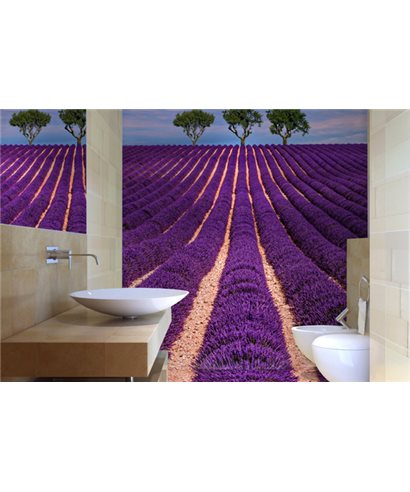LES SALLES DE BAINS 3D 08