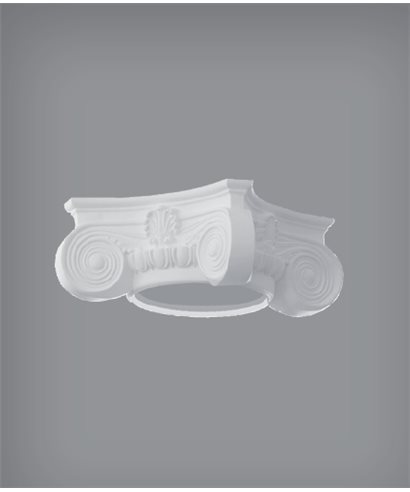 SPALTE CCOL3231