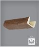 BEAM WT1345