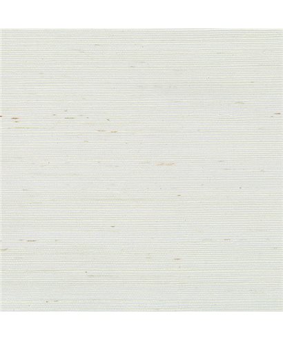 Grasscloth 488-411
