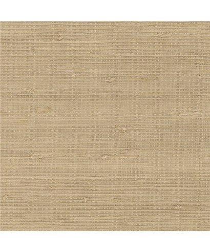 Grasscloth 488-418