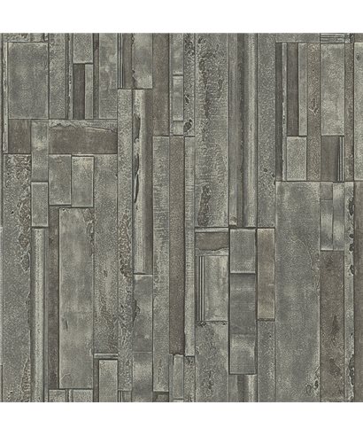 Titanium WH RM41102