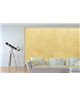 CEBOS CEBOIRON CHROM DETAIL WAND