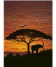 FOTOTAPETE AFRICAN SUNSET