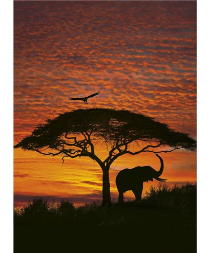 PHOTOMURAL AFRICAN SUNSET