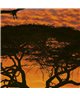 POSTER FOTOMURALE AFRICAN SUNSET